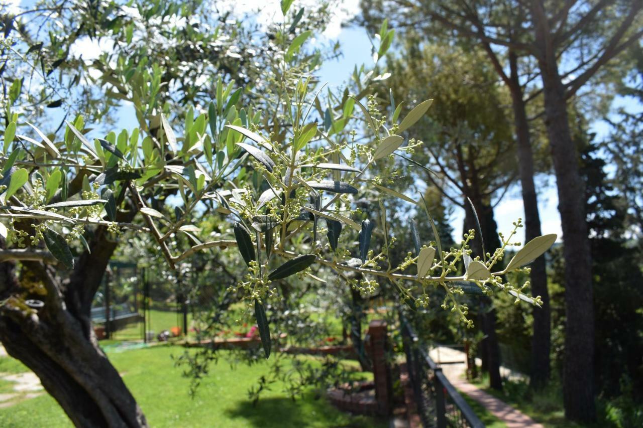 Casale Asciolo Bed & Breakfast Bagno a Ripoli Dış mekan fotoğraf